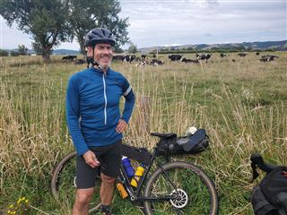 Photo of Tour Aotearoa 2024: rider Shane J, Dairy cows Hauraki plains